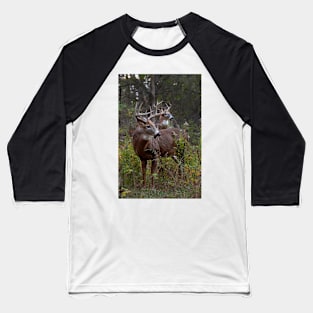 A Hard Days Rut - White-tailed deer Baseball T-Shirt